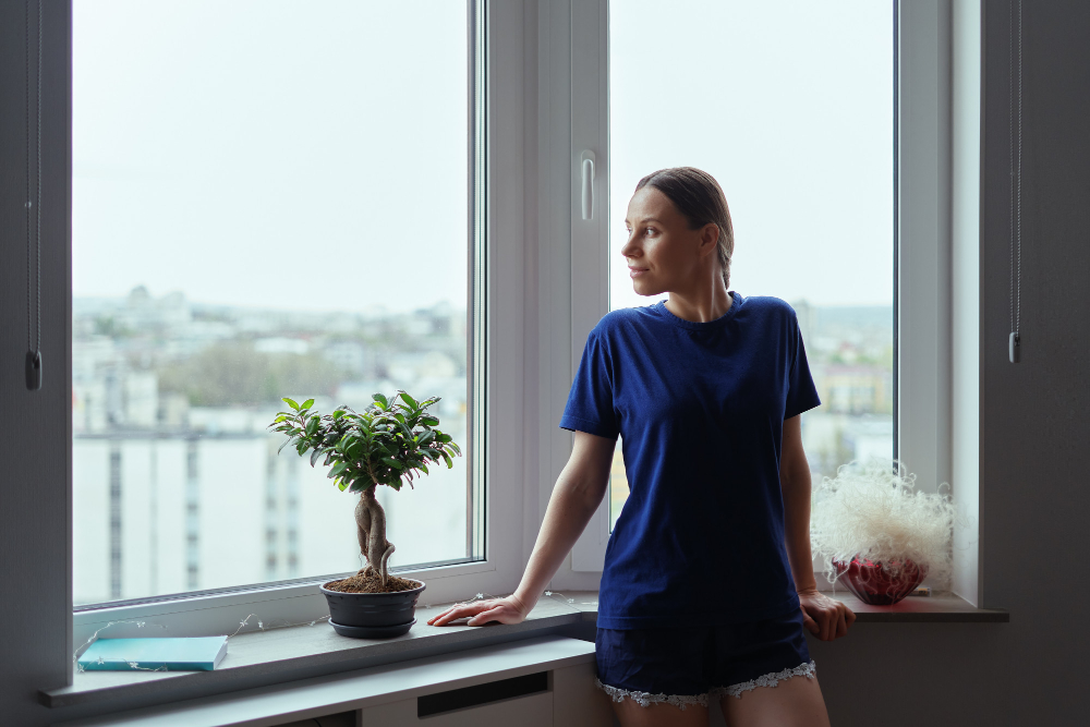 Ann Arbor Window Styles